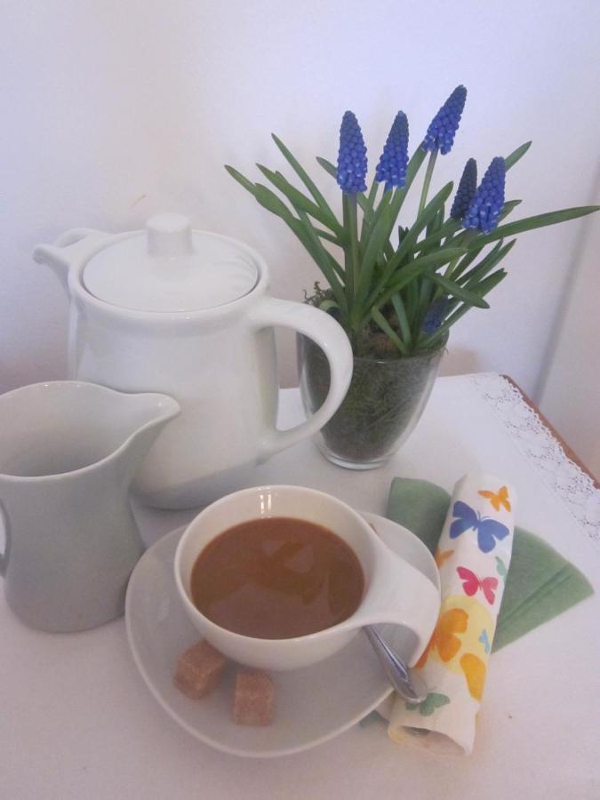 Bed and Breakfast Winzerhof Michael Gartner Illmitz Esterno foto